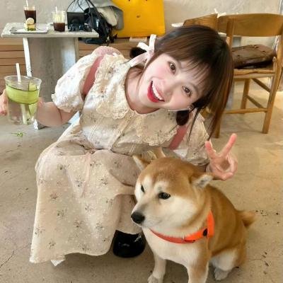 我的掌门女友第二季